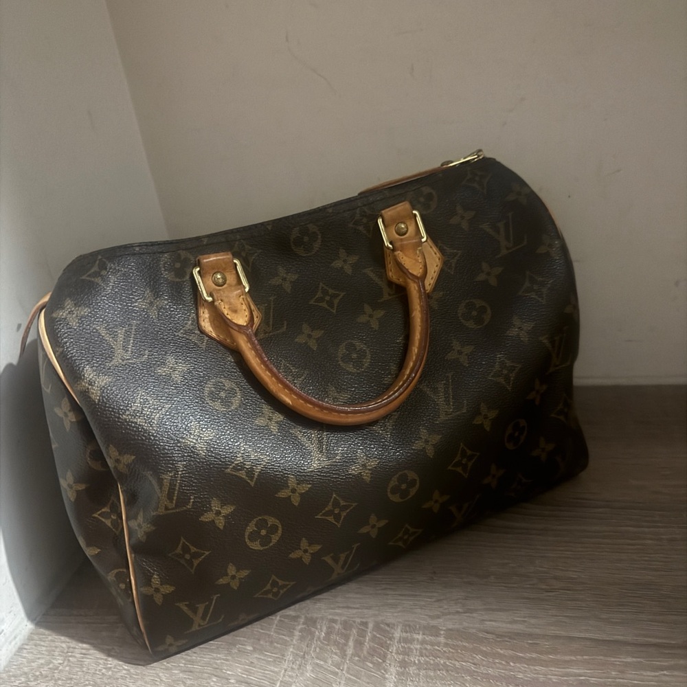 Louis Vuitton Classic Monogram SPEEDY